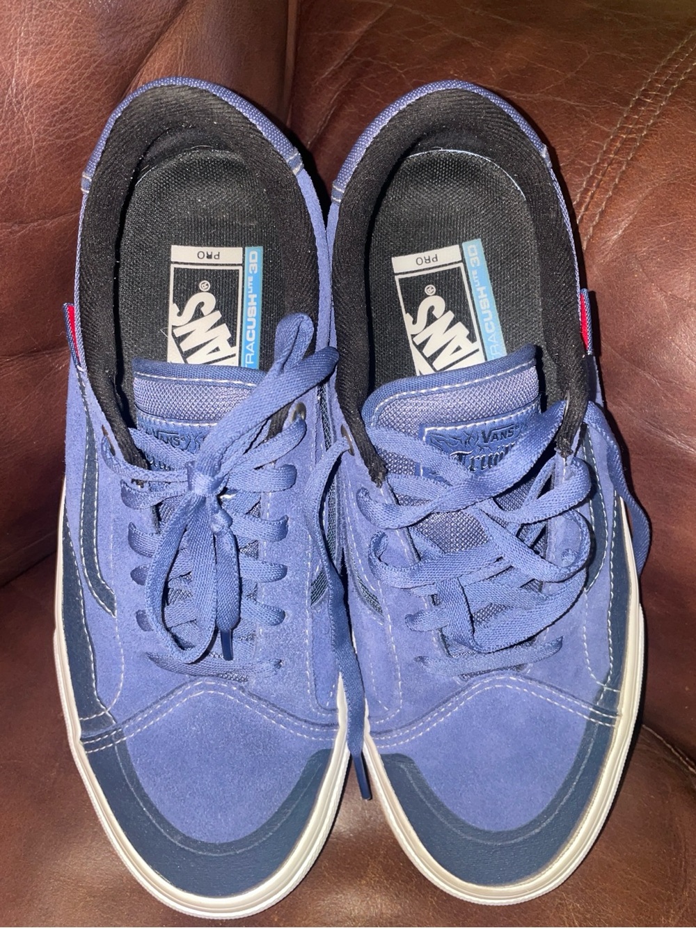 Vans Men’s Purple-Blue Lace-Up Skate Sneakers